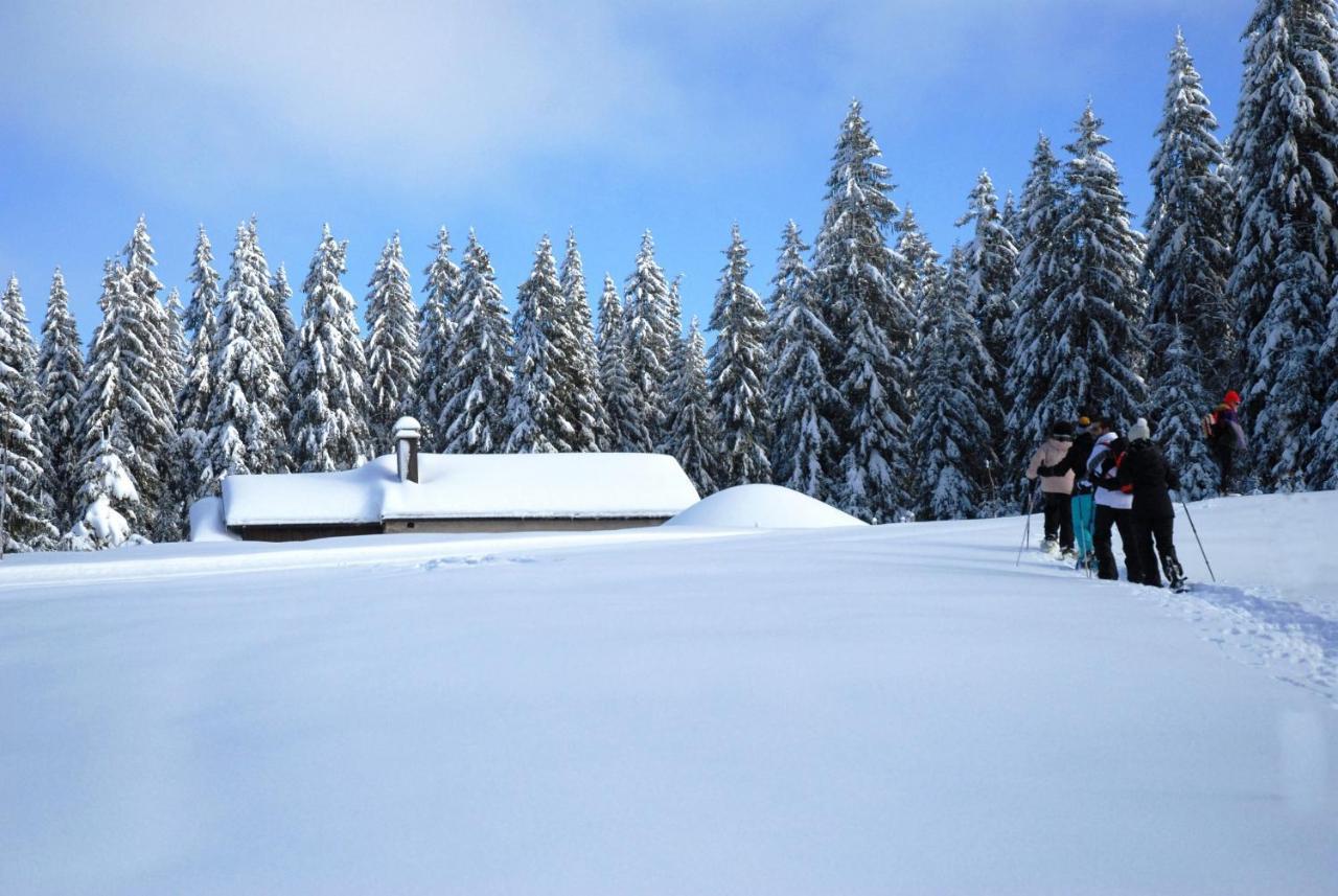 Chalet Le Petit Jura Vila Morbier Exterior foto